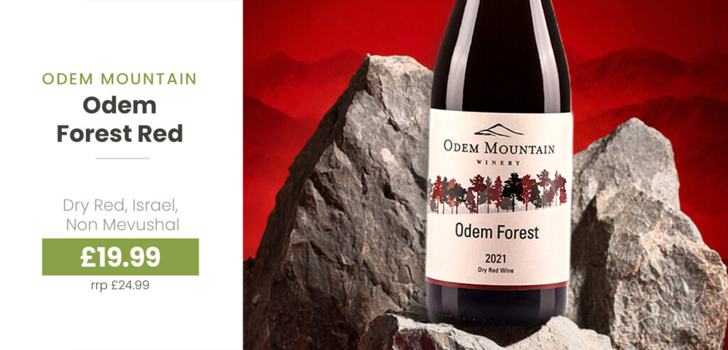 Oct25-wines-_034_Odem Mountain_Odem Forest Red_034-hero