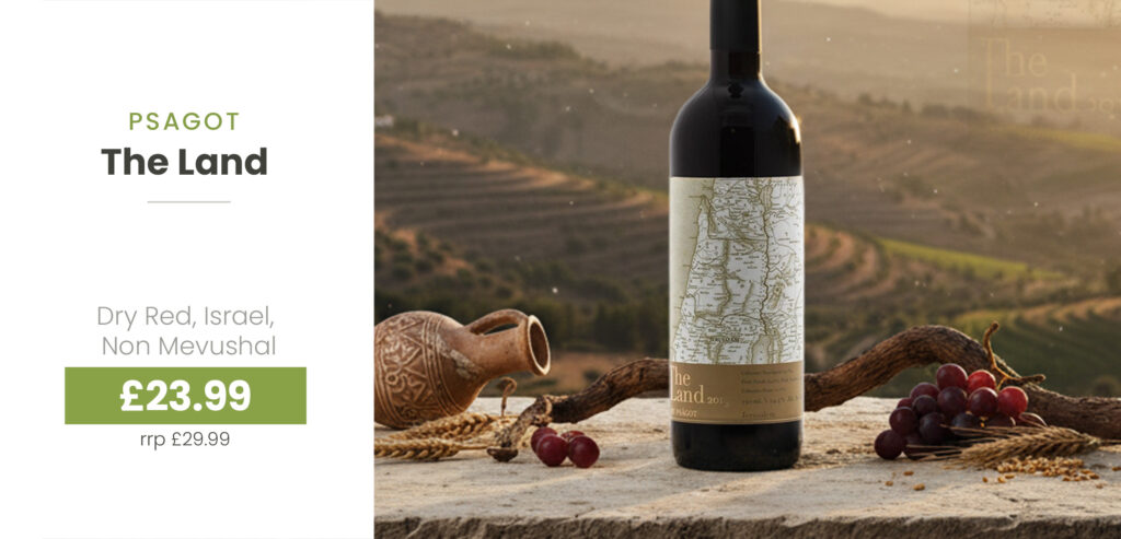 Oct25-wines-_041_Psagot_The Land-hero_041